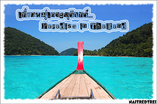 ����������Թ��� �����š�÷�ͧ����� ����������Թ���
